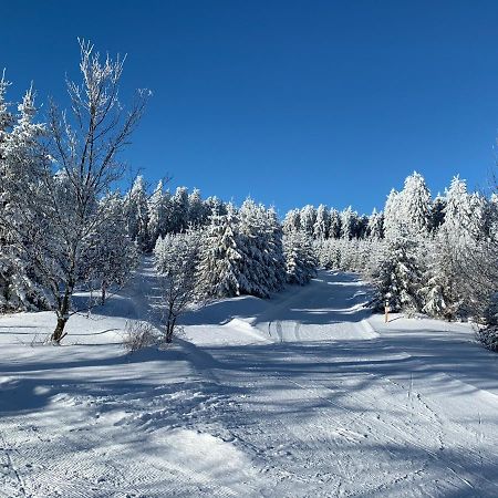 Aktiv-Ferienwohnung "Snow & Bike"- Zentral Zwischen Winterberg Und Willingen Zewnętrze zdjęcie