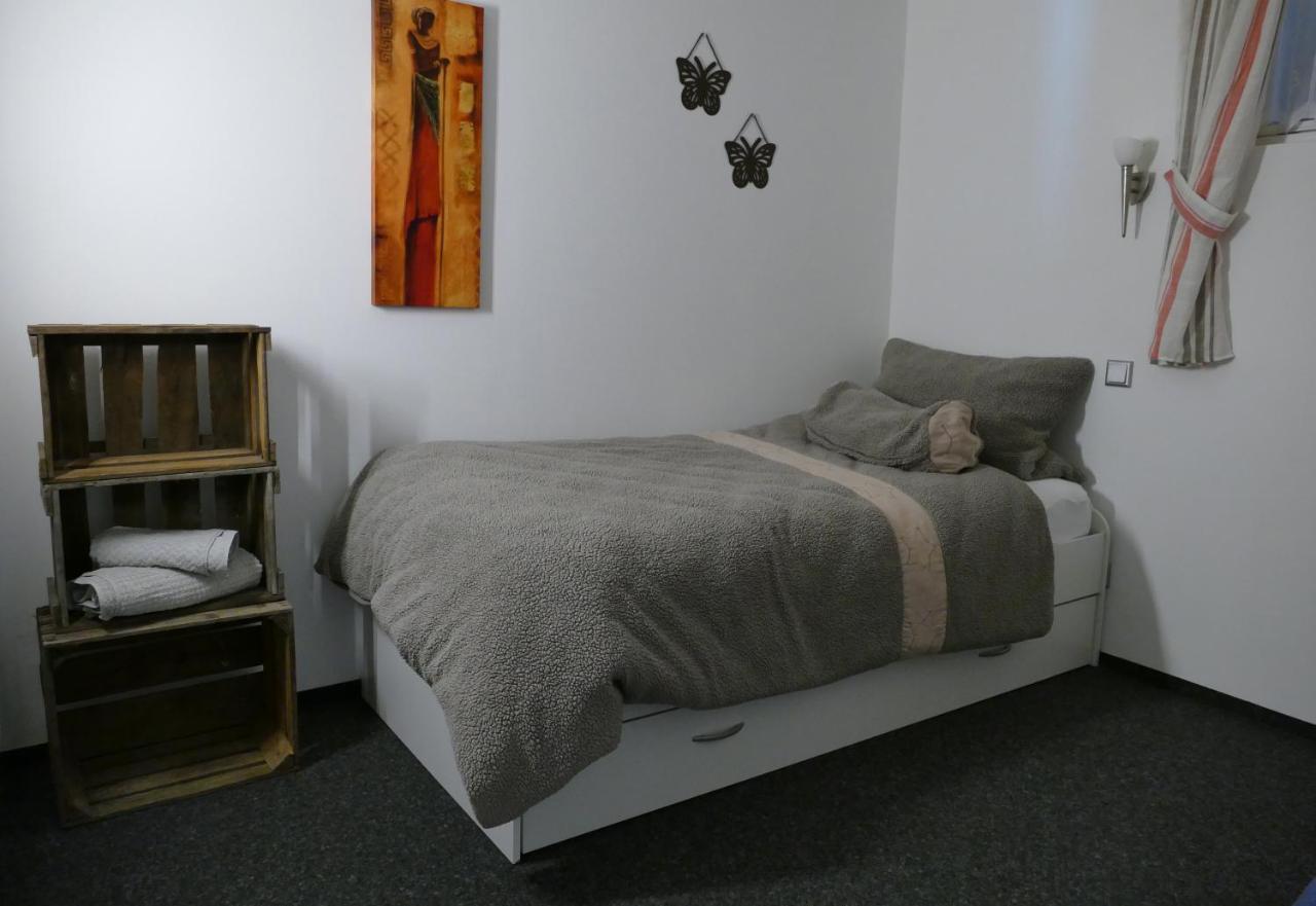 Aktiv-Ferienwohnung "Snow & Bike"- Zentral Zwischen Winterberg Und Willingen Zewnętrze zdjęcie