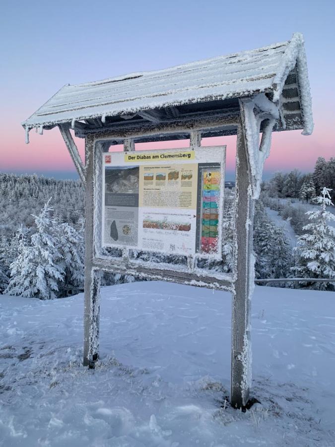 Aktiv-Ferienwohnung "Snow & Bike"- Zentral Zwischen Winterberg Und Willingen Zewnętrze zdjęcie