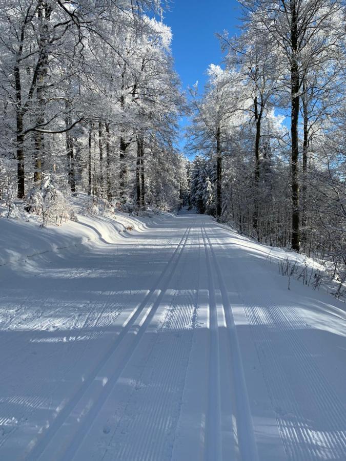 Aktiv-Ferienwohnung "Snow & Bike"- Zentral Zwischen Winterberg Und Willingen Zewnętrze zdjęcie